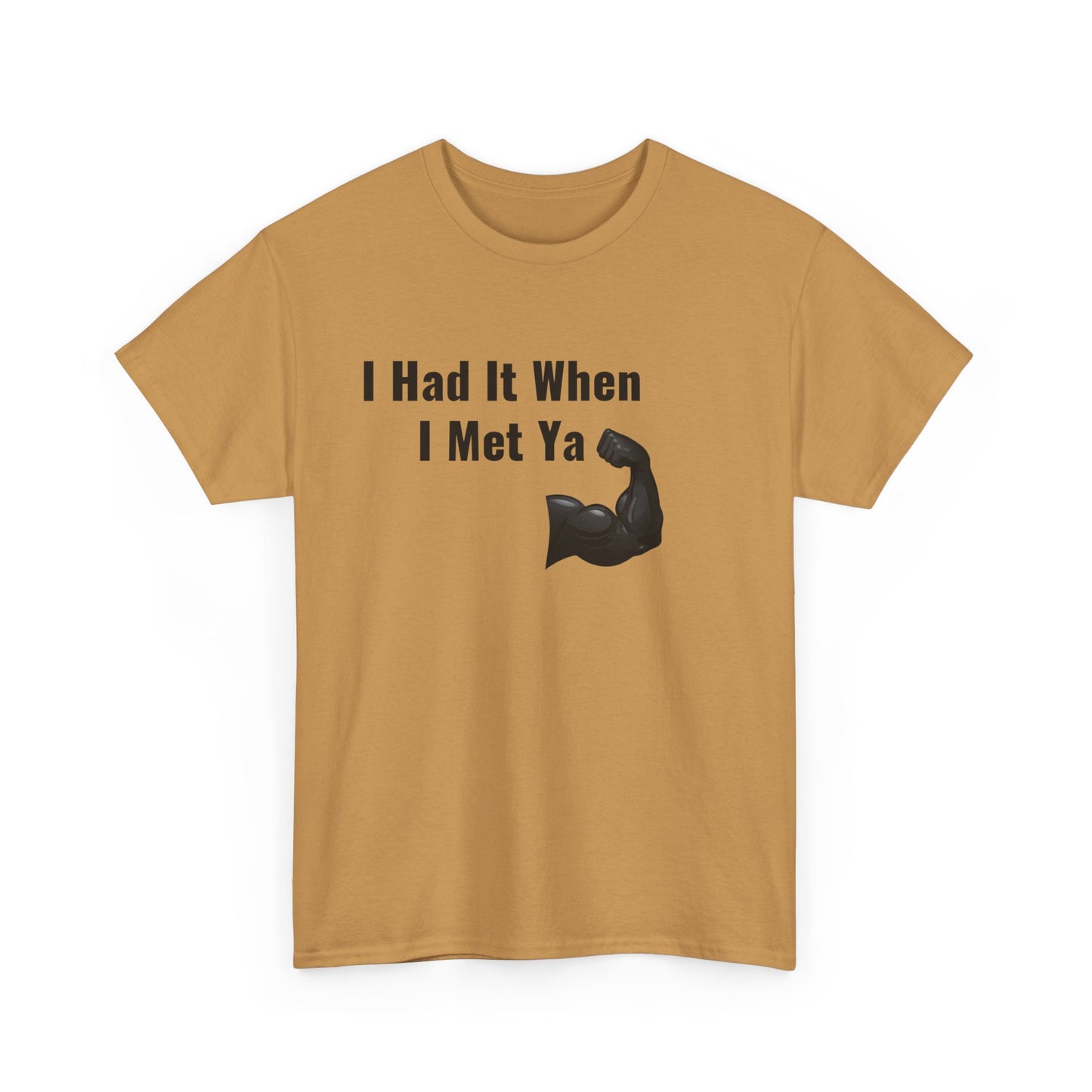 I Had It When I Met Ya Unisex Heavy Cotton Tee