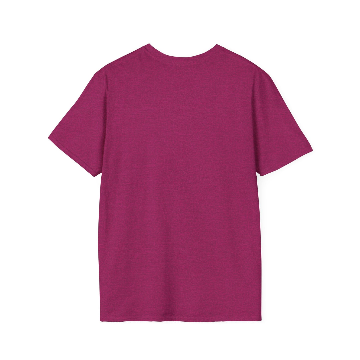 This Too Shall Pass Unisex Softstyle T-Shirt