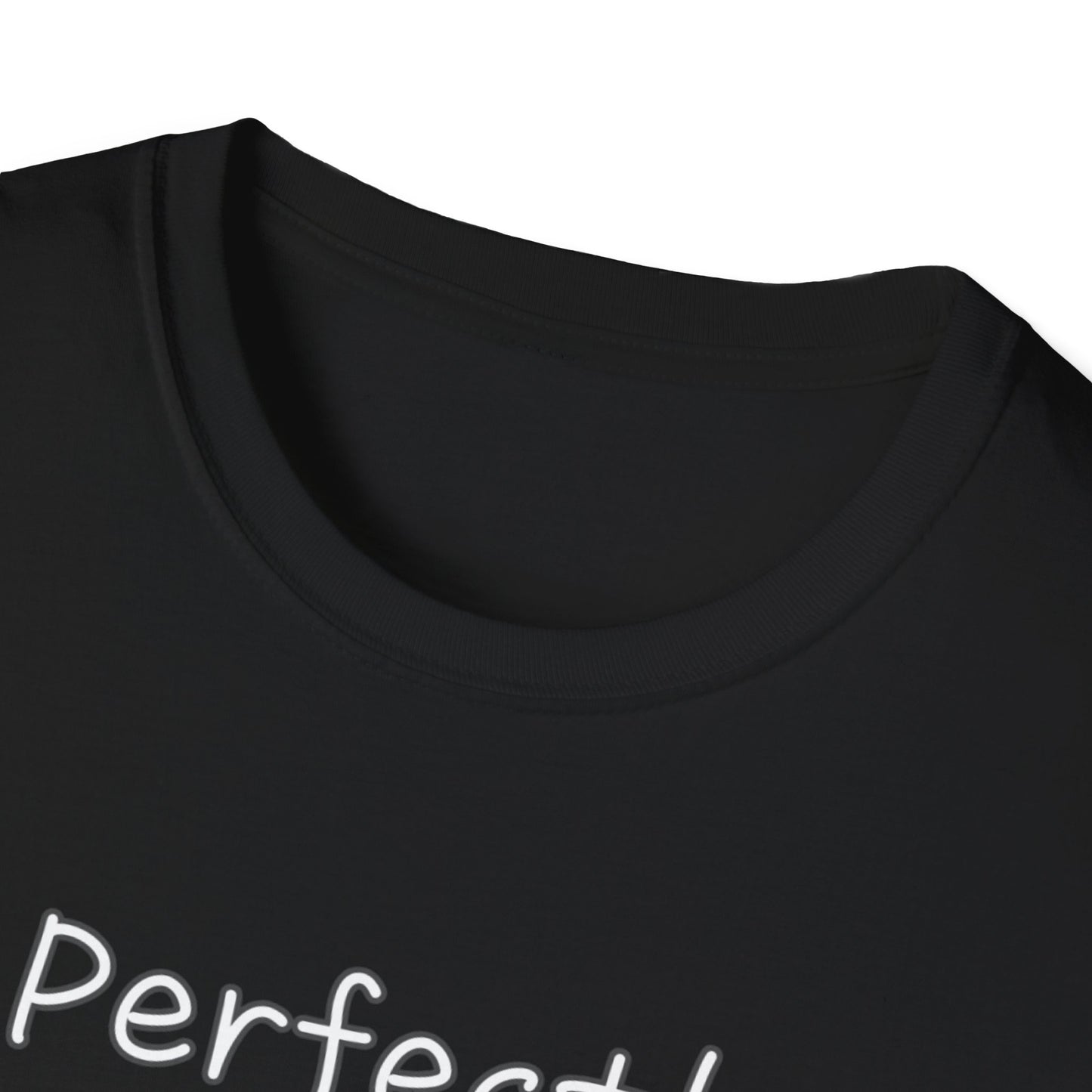Perfectly Imperfect Unisex Softstyle T-Shirt