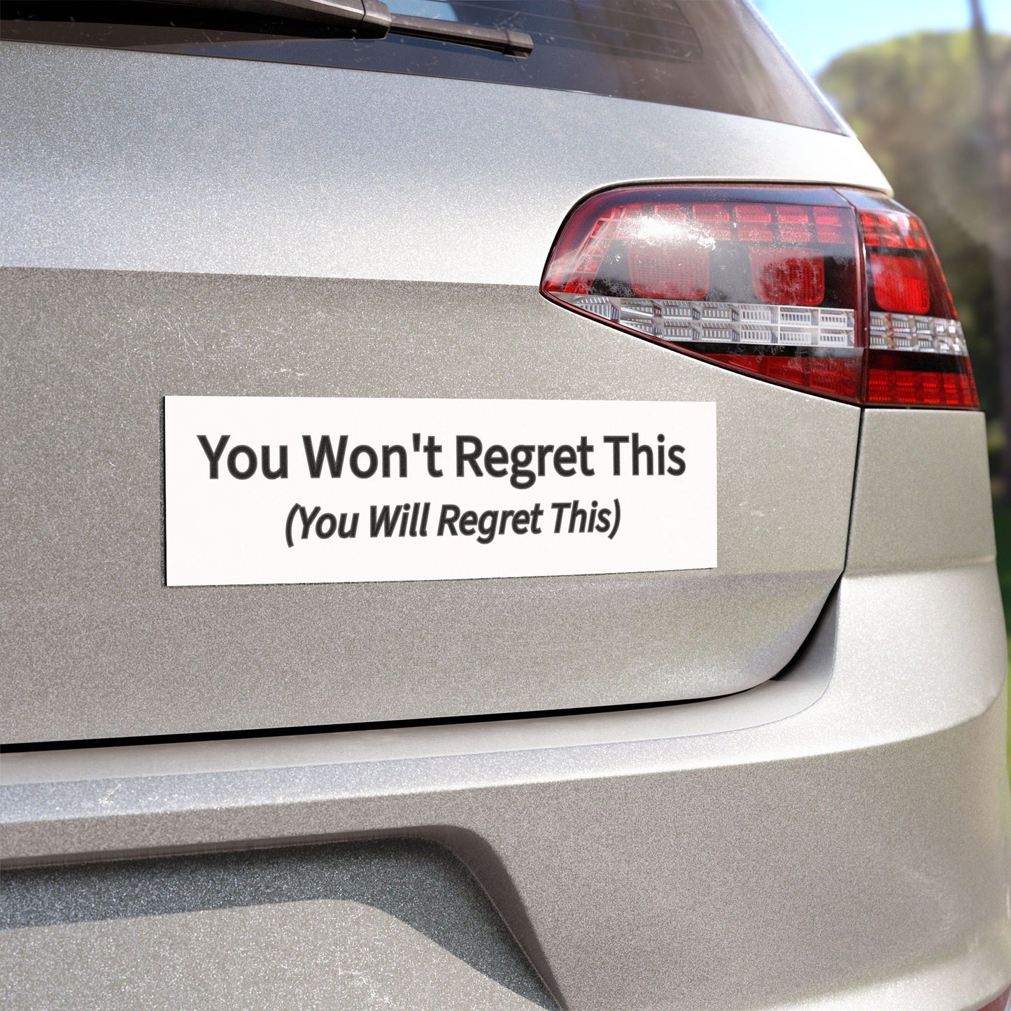 You Won't Regret This Car Magnet
