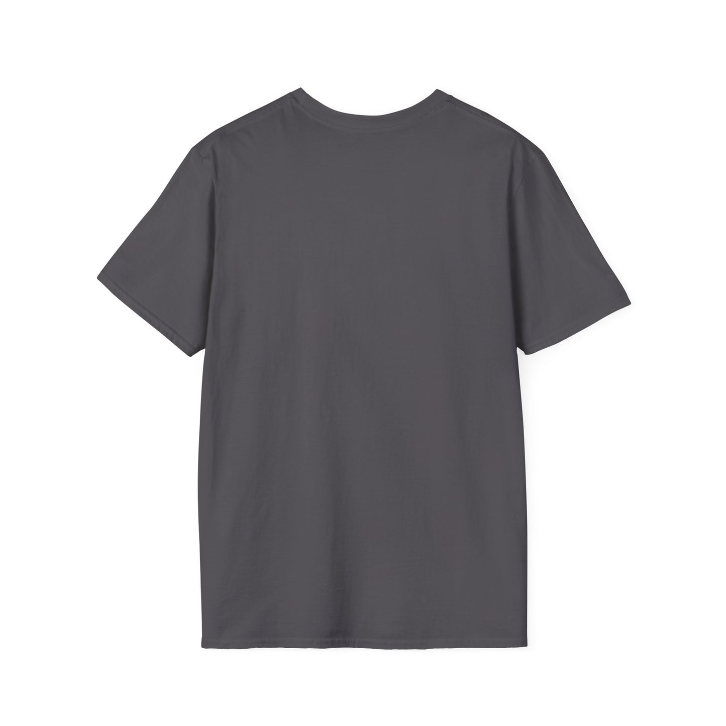 This Too Shall Pass Unisex Softstyle T-Shirt