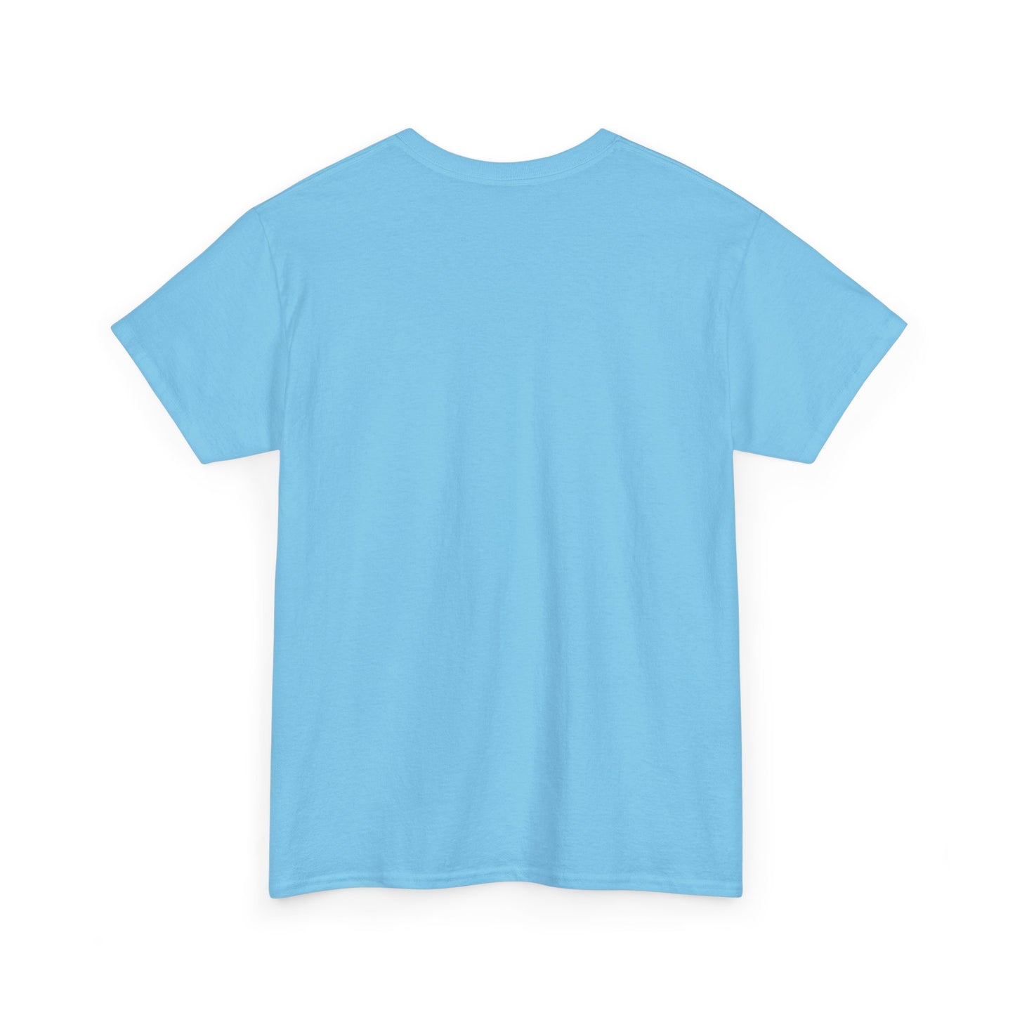 I Had It When I Met Ya Unisex Heavy Cotton Tee
