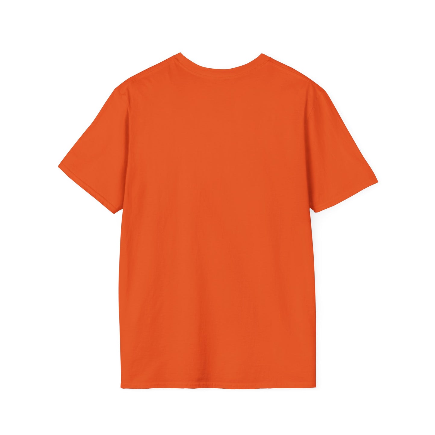 This Too Shall Pass Unisex Softstyle T-Shirt