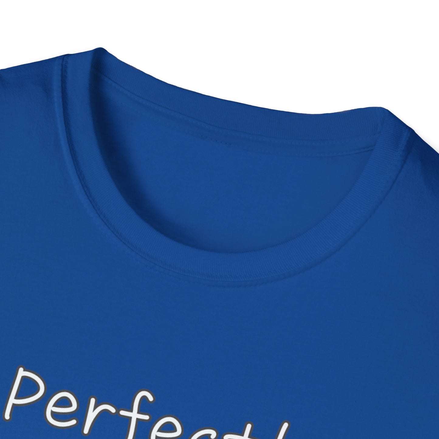 Perfectly Imperfect Unisex Softstyle T-Shirt