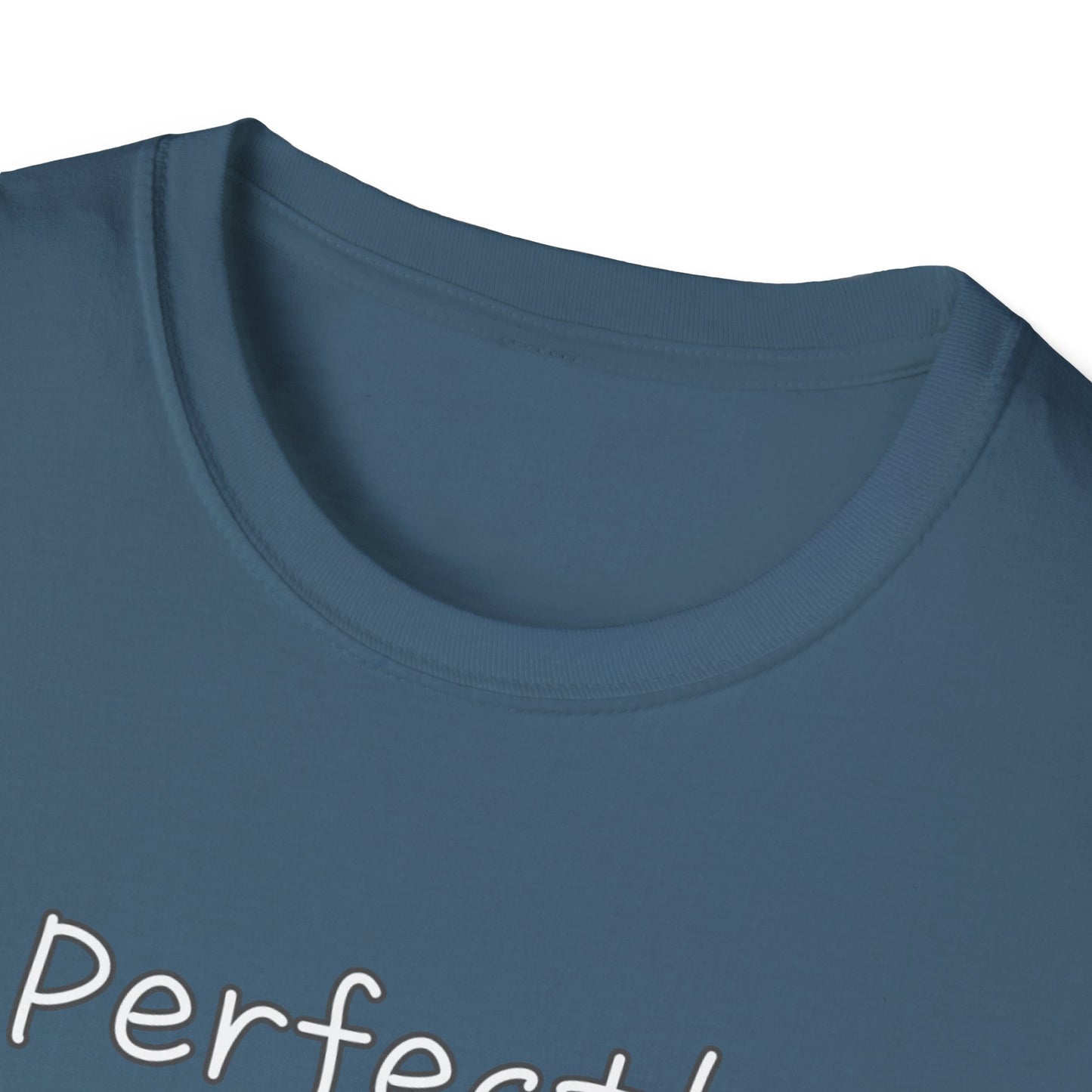 Perfectly Imperfect Unisex Softstyle T-Shirt