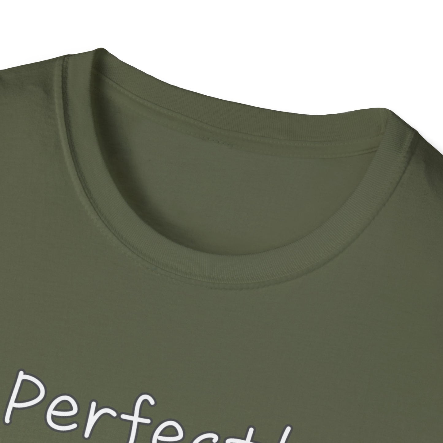 Perfectly Imperfect Unisex Softstyle T-Shirt