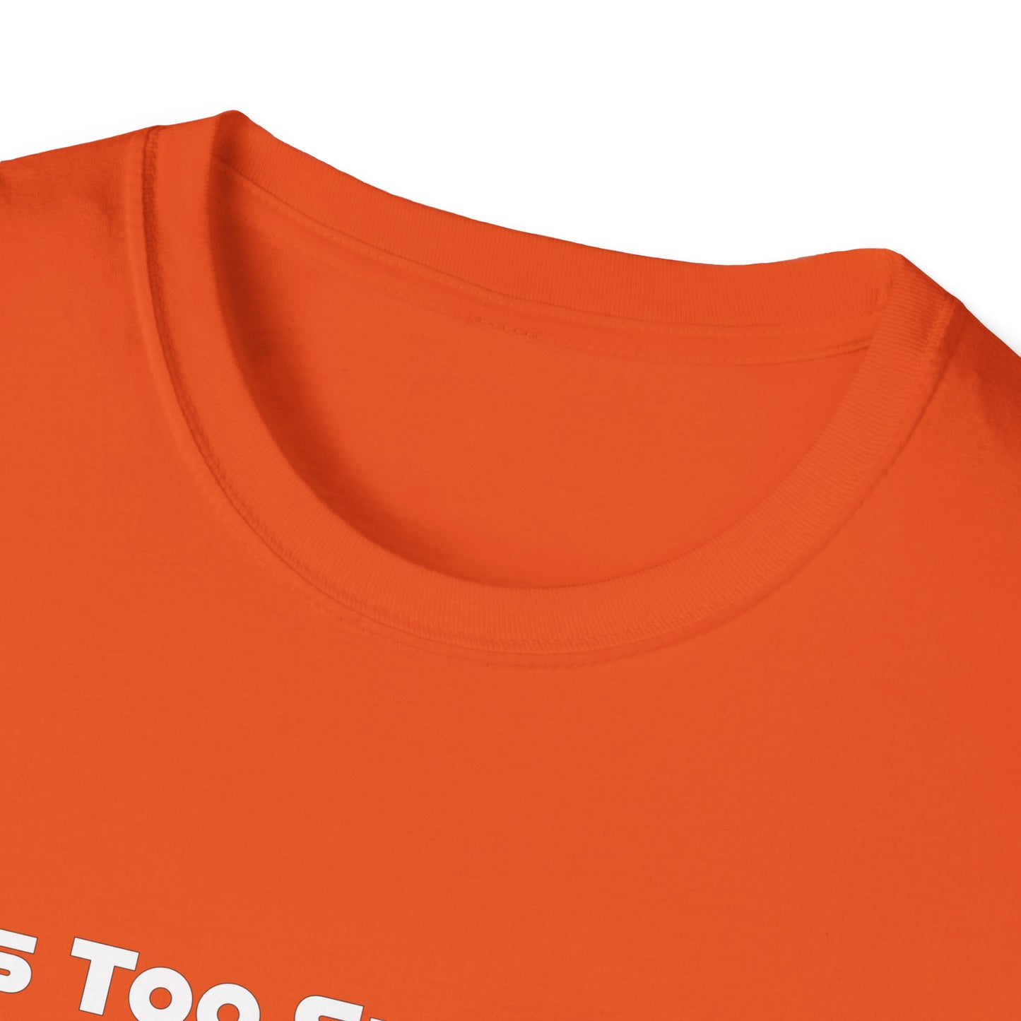 This Too Shall Pass Unisex Softstyle T-Shirt