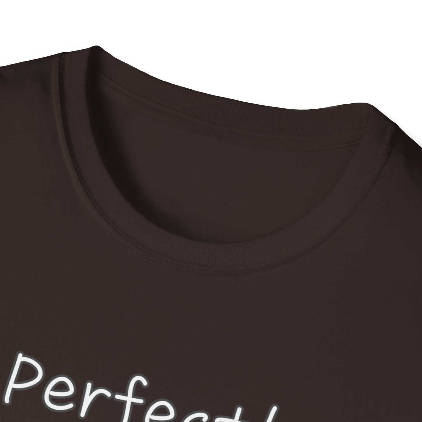 Perfectly Imperfect Unisex Softstyle T-Shirt