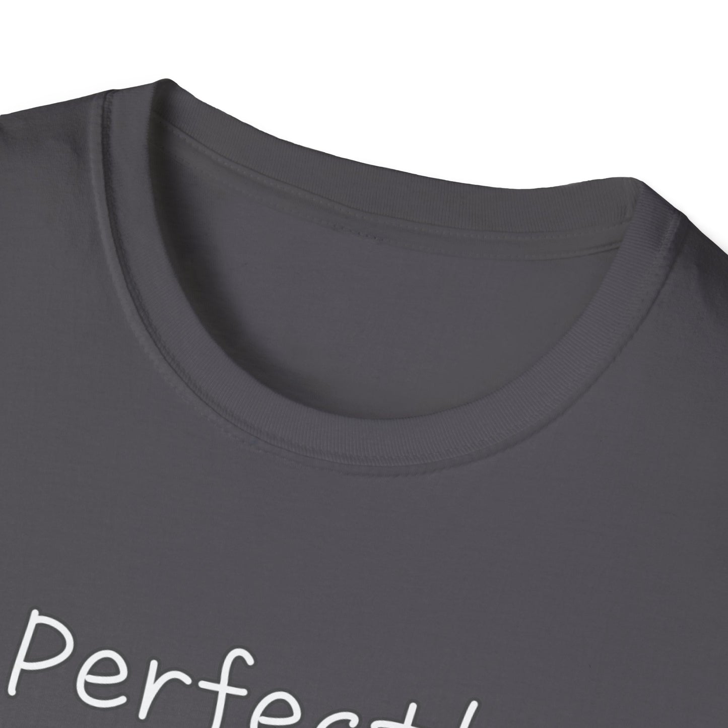 Perfectly Imperfect Unisex Softstyle T-Shirt