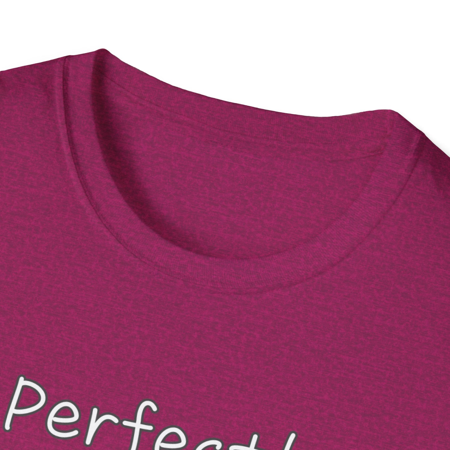 Perfectly Imperfect Unisex Softstyle T-Shirt