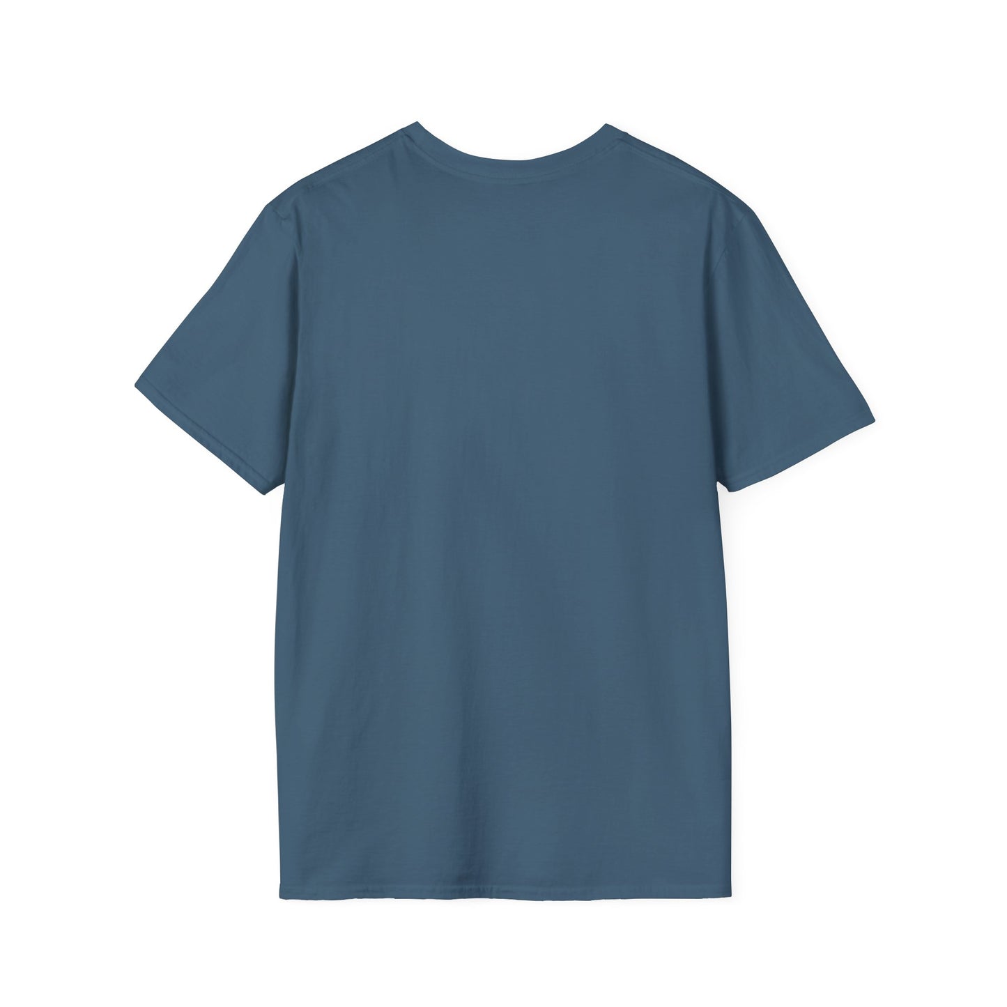 This Too Shall Pass Unisex Softstyle T-Shirt