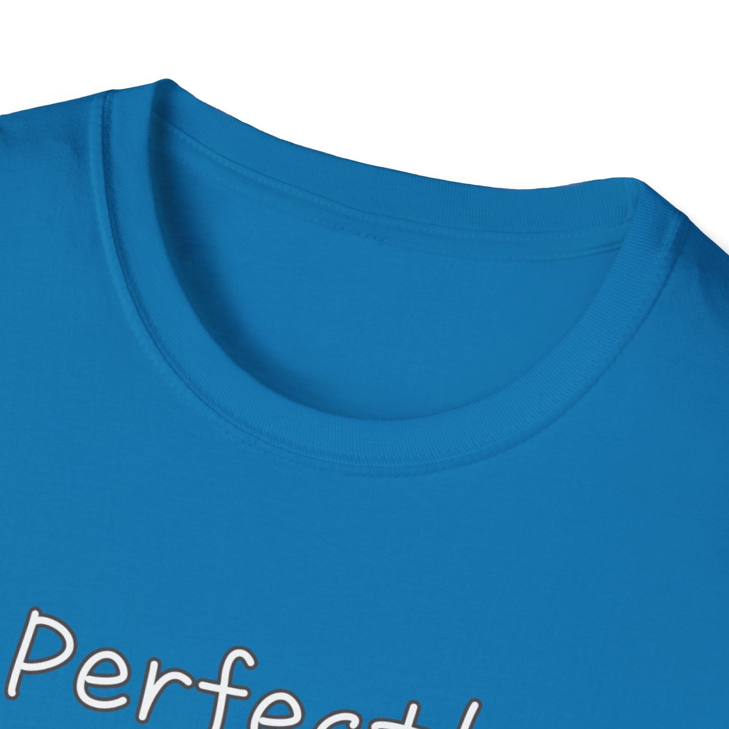Perfectly Imperfect Unisex Softstyle T-Shirt