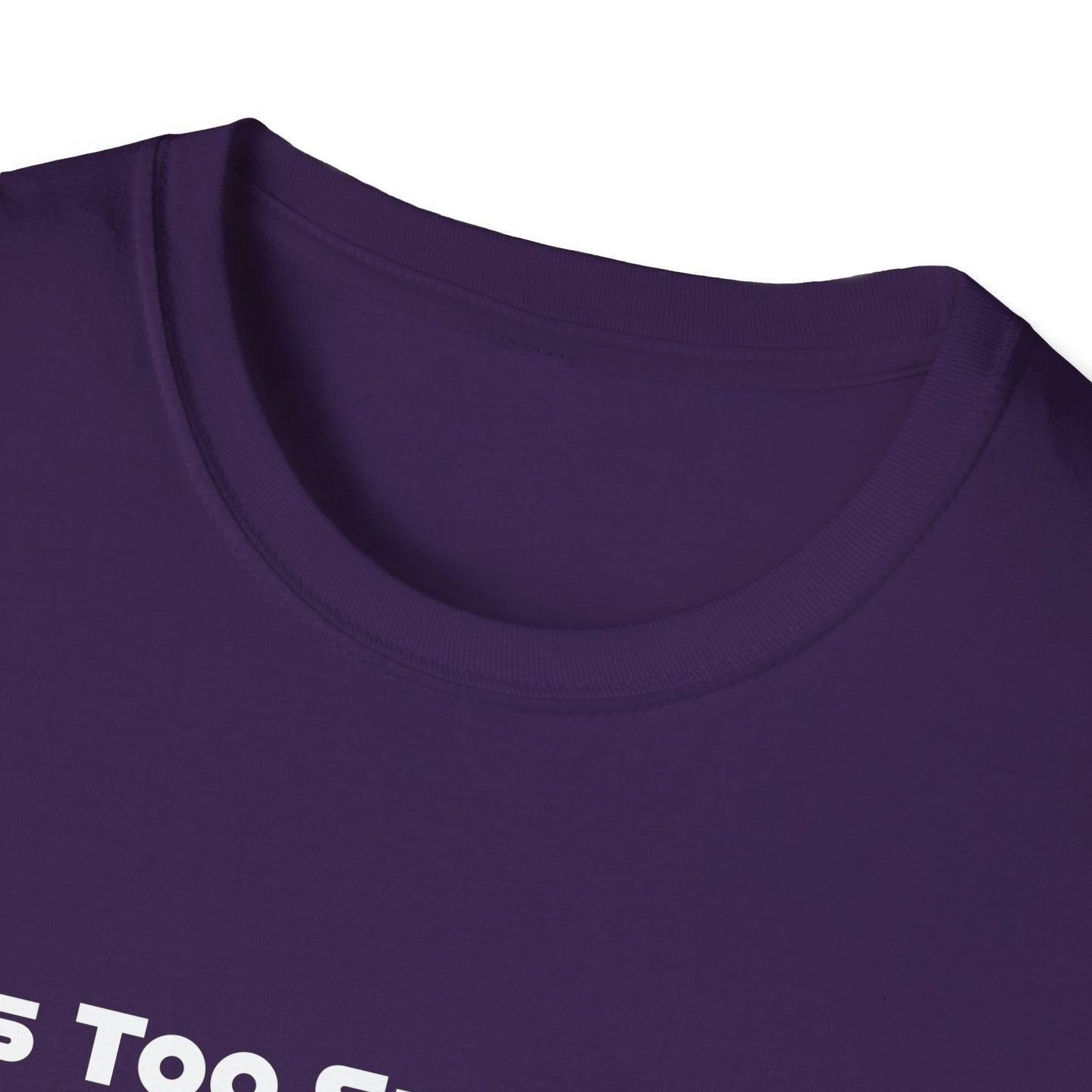 This Too Shall Pass Unisex Softstyle T-Shirt