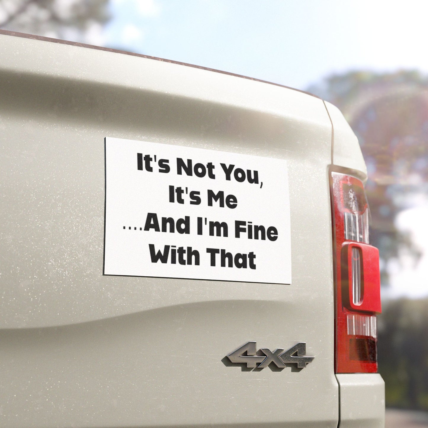 It's Not You, It's Me And I'm Fine With That Car Magnet