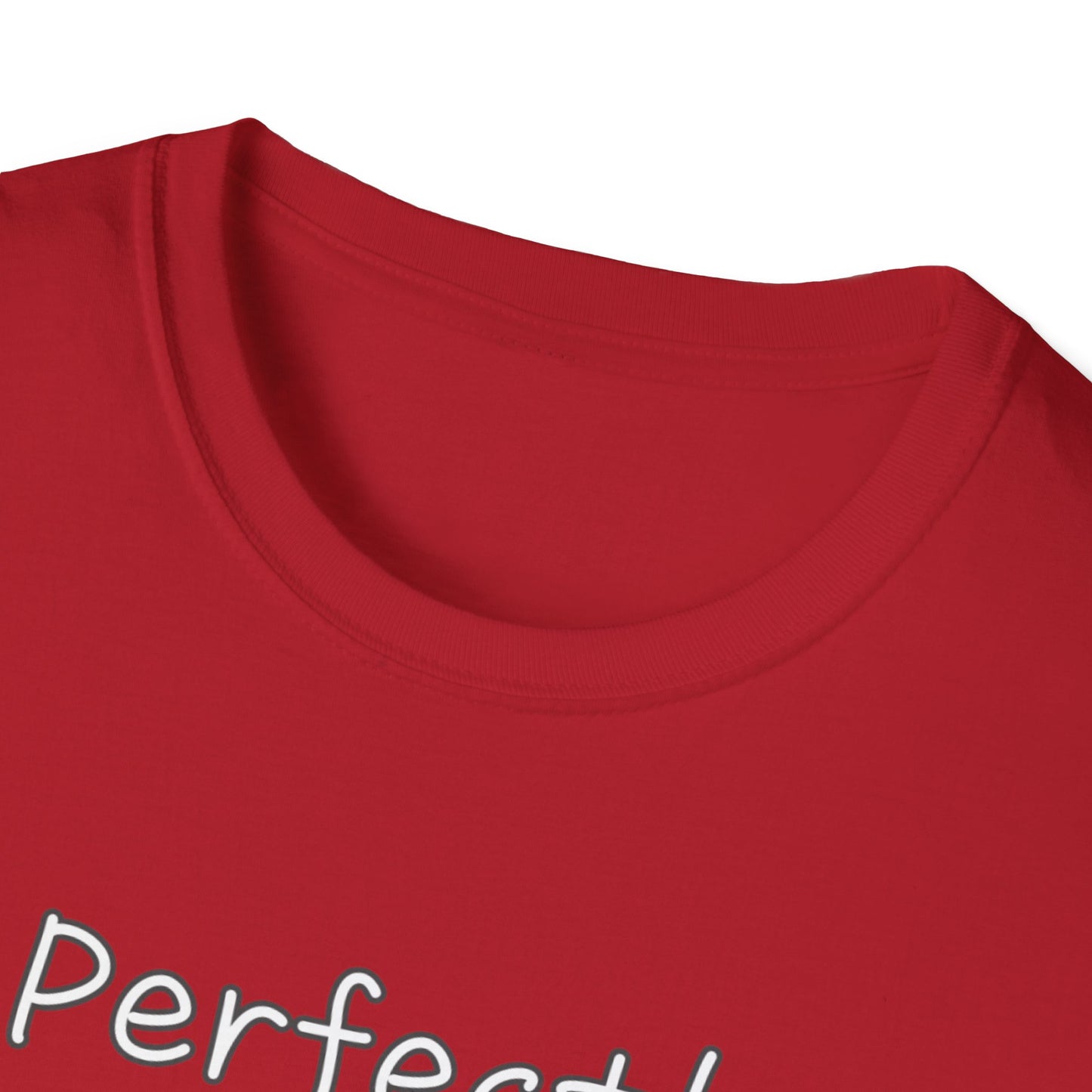 Perfectly Imperfect Unisex Softstyle T-Shirt
