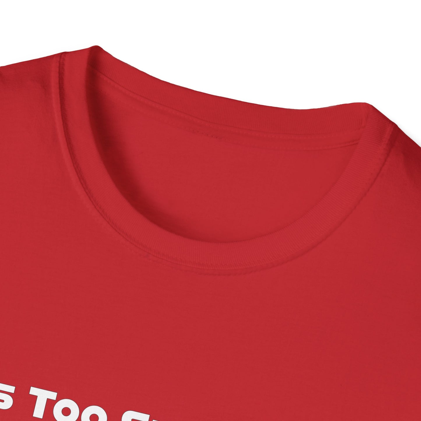 This Too Shall Pass Unisex Softstyle T-Shirt