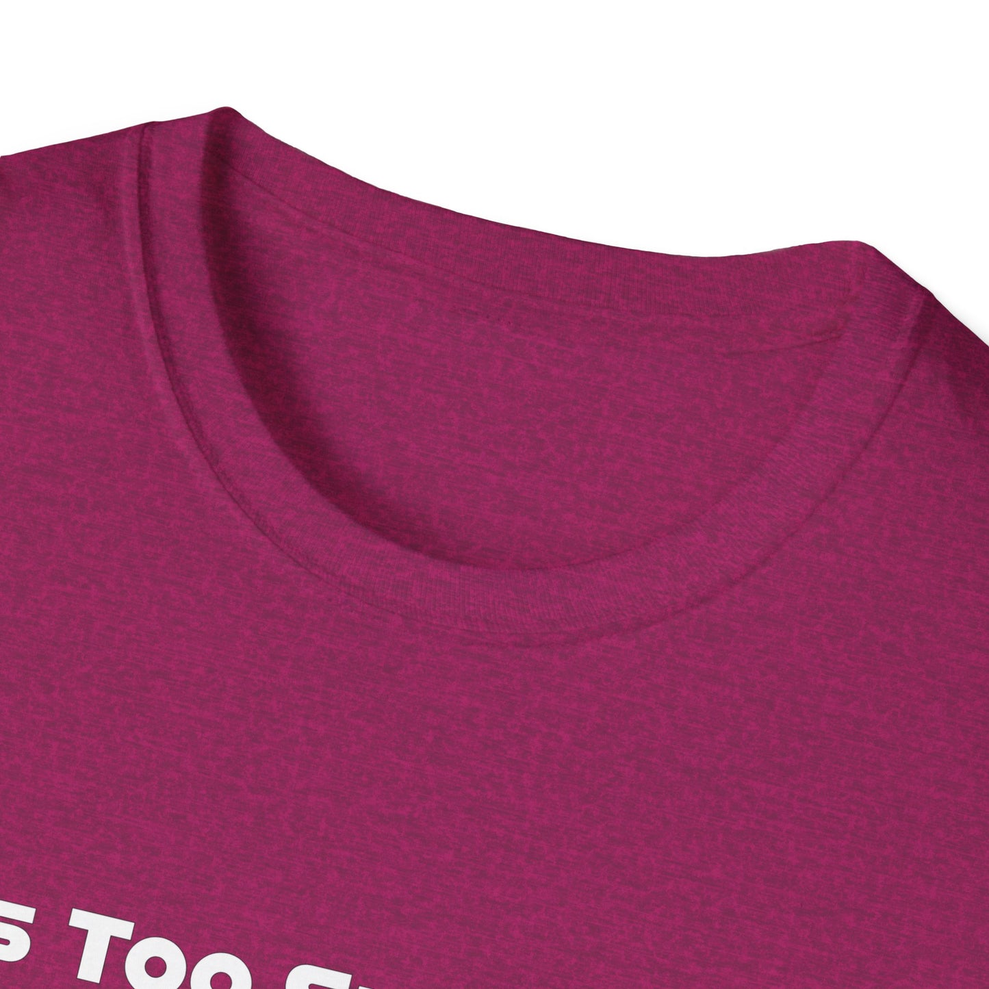 This Too Shall Pass Unisex Softstyle T-Shirt