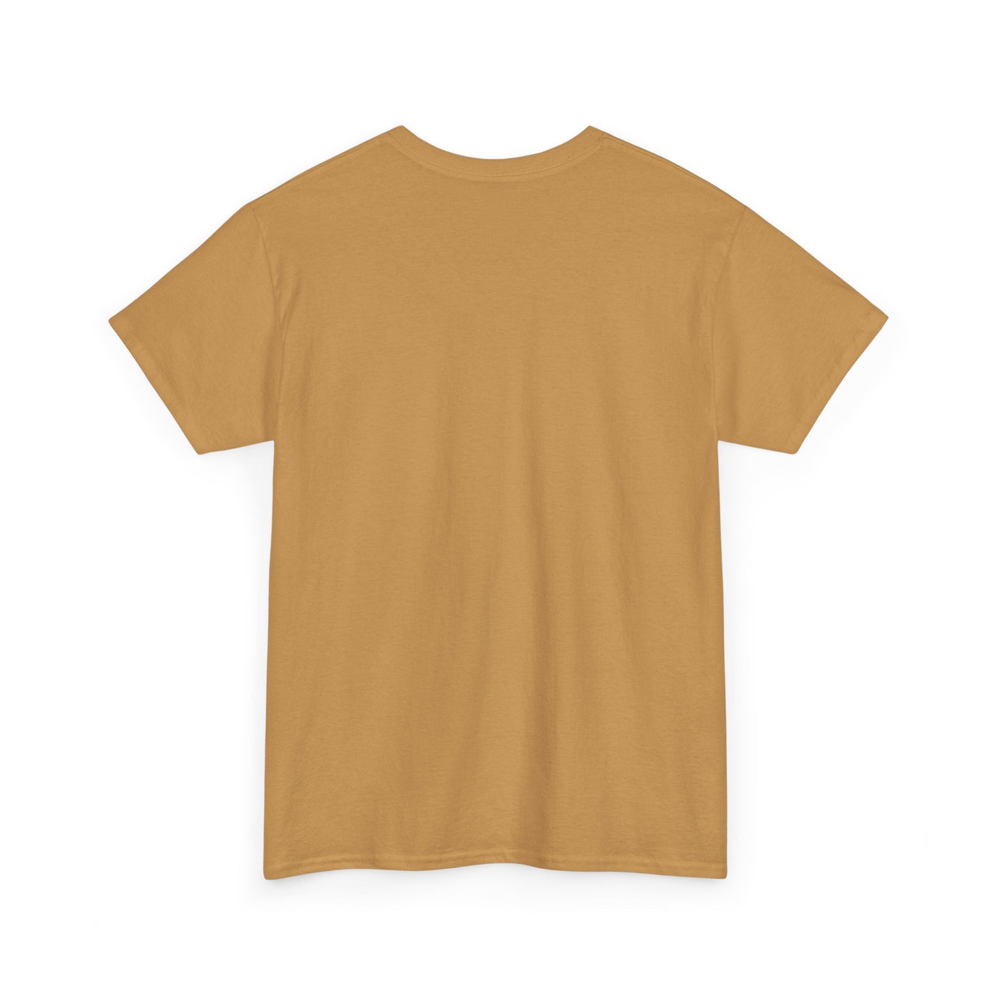 I Had It When I Met Ya Unisex Heavy Cotton Tee