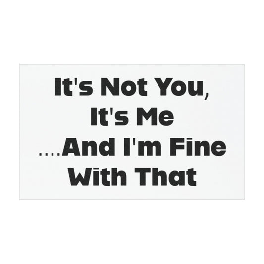 It's Not You, It's Me And I'm Fine With That Car Magnet