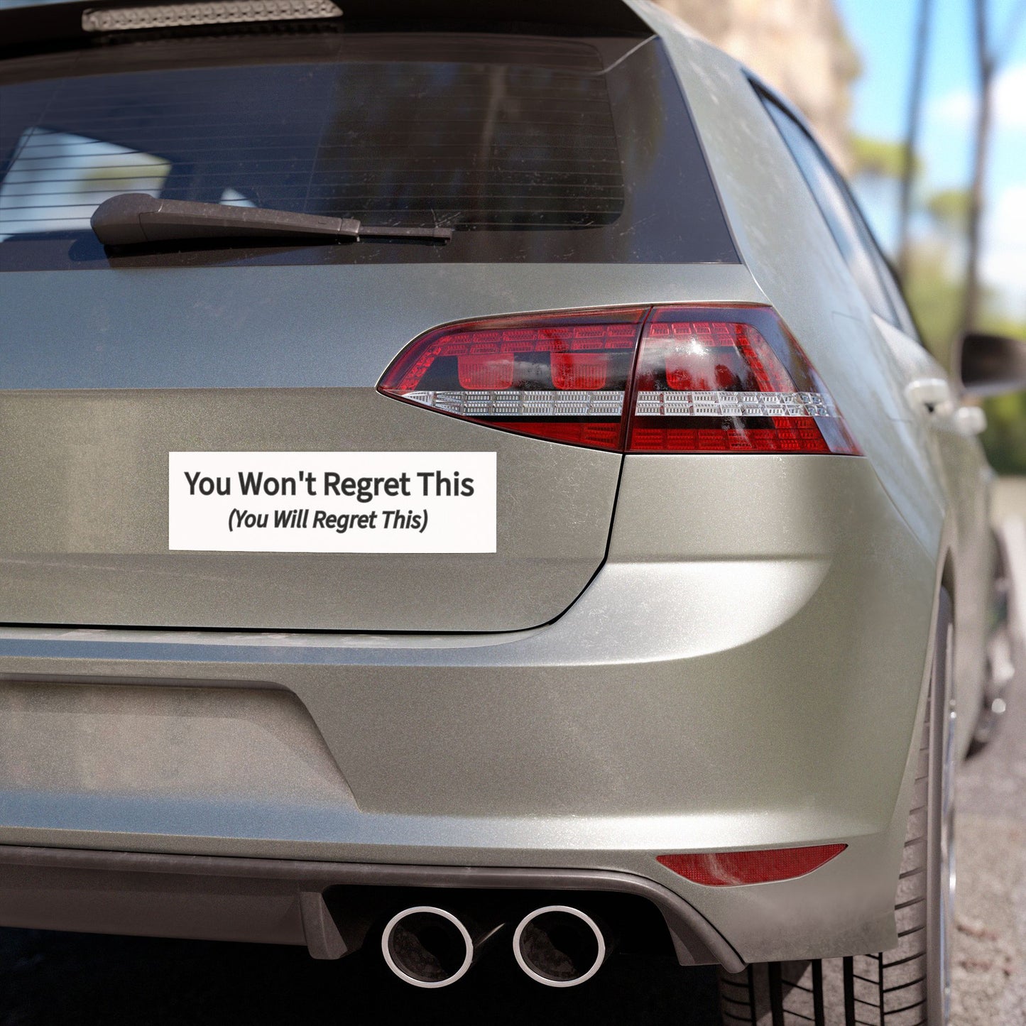 You Won't Regret This Car Magnet