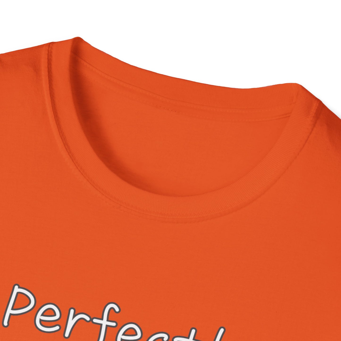 Perfectly Imperfect Unisex Softstyle T-Shirt