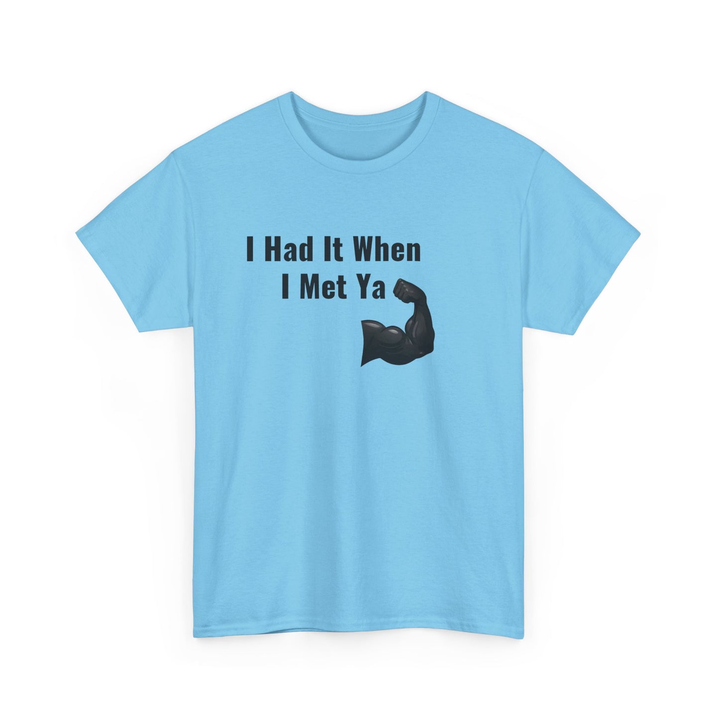 I Had It When I Met Ya Unisex Heavy Cotton Tee