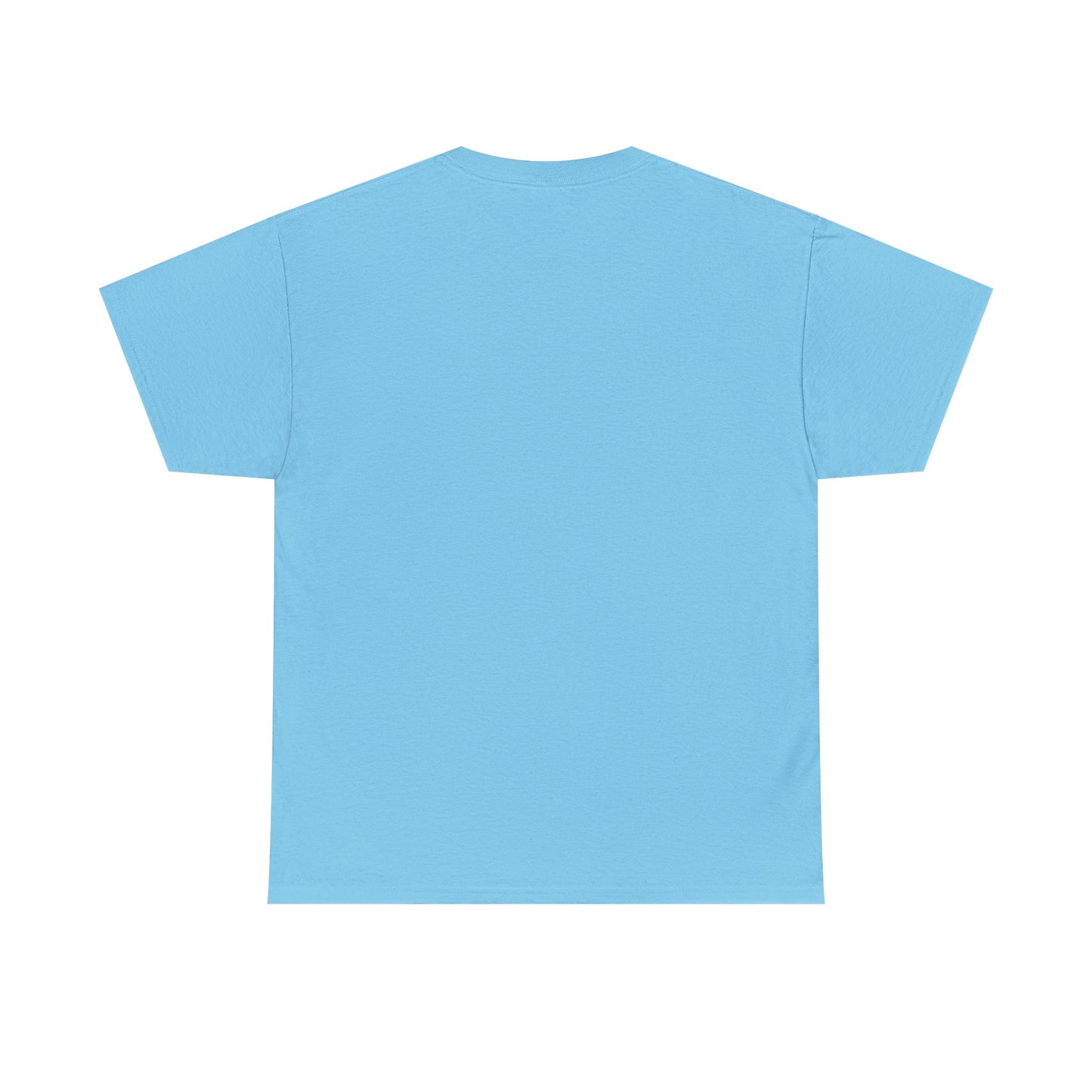 I Had It When I Met Ya Unisex Heavy Cotton Tee