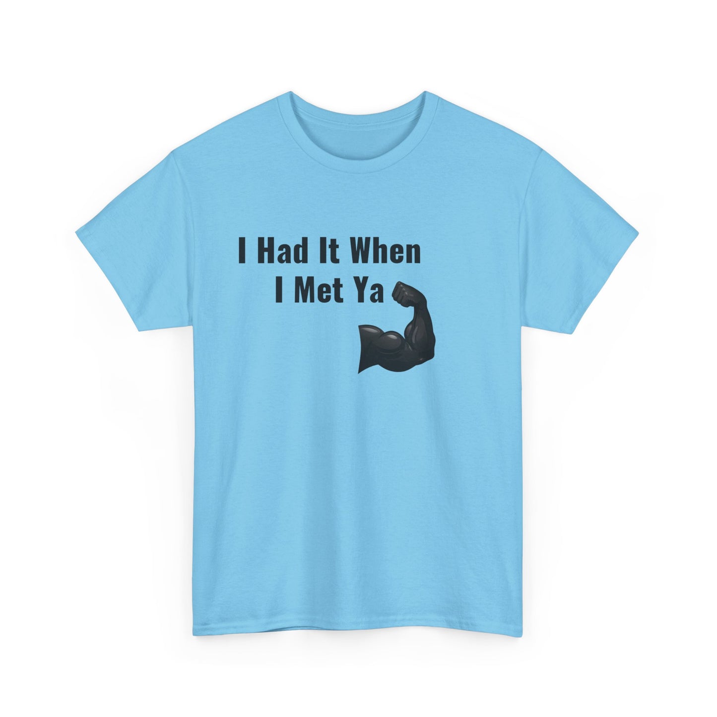 I Had It When I Met Ya Unisex Heavy Cotton Tee