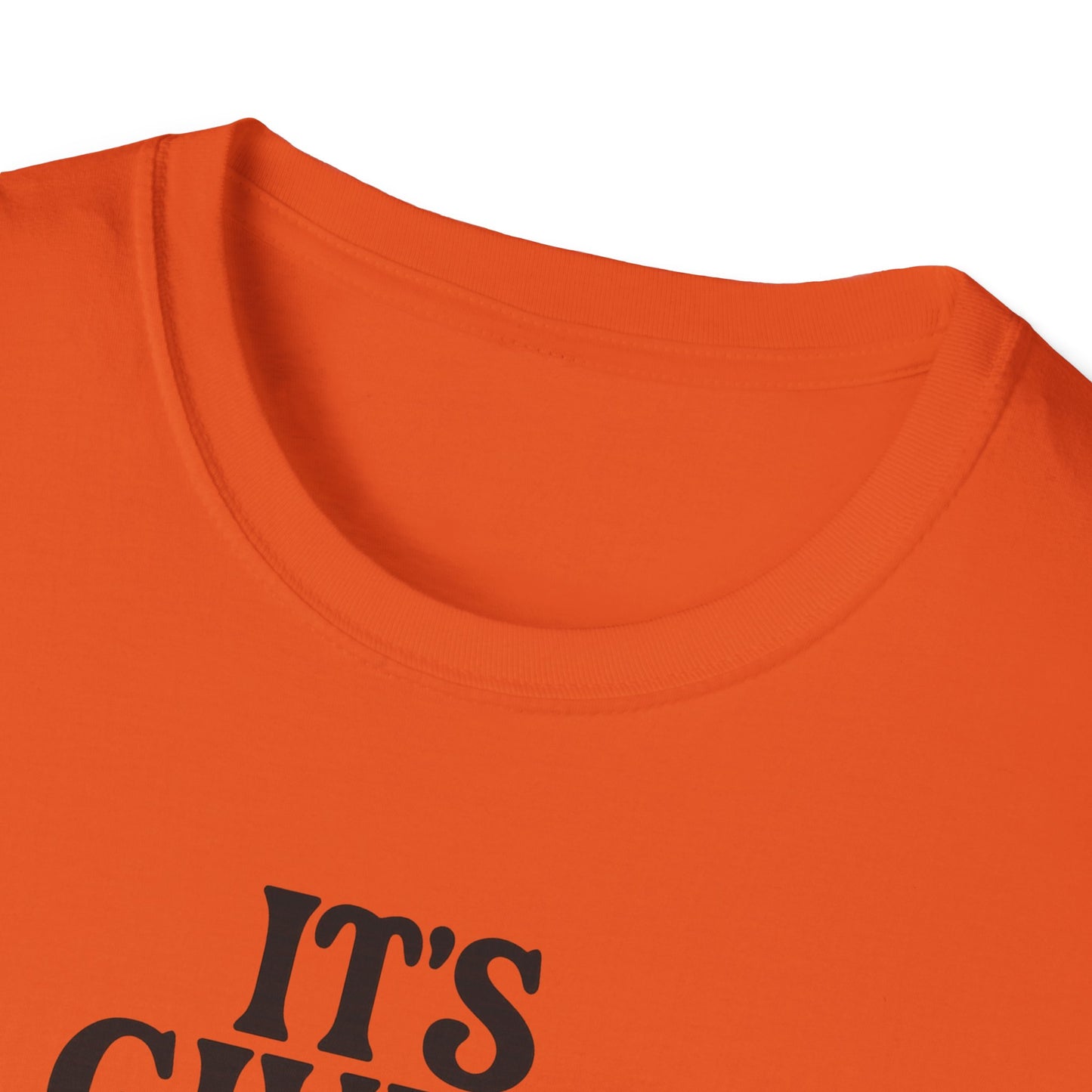 It's Giving Virgo Vibes Unisex Softstyle T-Shirt
